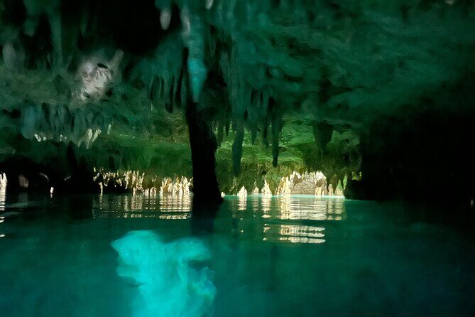 Snorkeling Activity in a Cenote Expedition - Wildlife Encounters: Cables, Calm, and Quiet Respect