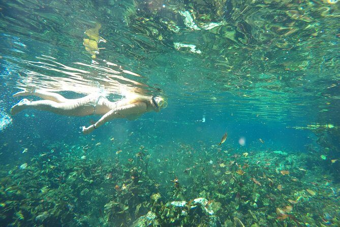 Snorkeling Adventure Tour Reef & Cenote - Cenotes Sac Actun: stalactites, stalagmites, and lifejacket safety