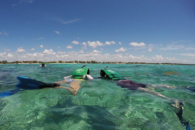 Snorkeling with Caribbean fish and private cenote exploration - Why the cenote is the whole point of the day