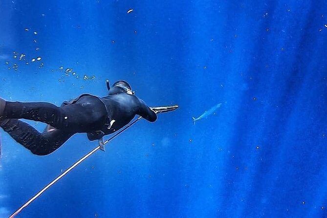Spearfishing Playa del Carmen or Tulum - Snorkeling Gear Isn’t a Side Quest