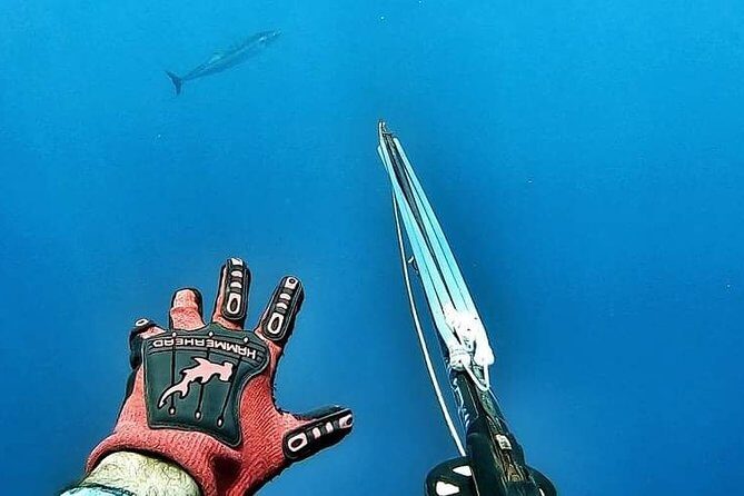 Spearfishing Playa del Carmen or Tulum - Your Shot vs. Your Guide’s Priority: Communication Pays Off