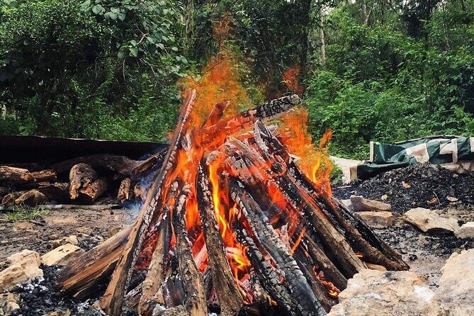 Temazcal Experience in Tulum Alternative Medicine Maya Heritage - Price and Value: Is $116.21 Worth It?
