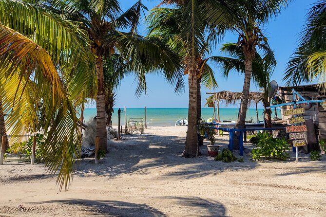 The best of Holbox from Tulum - Isla de la Pasion wildlife viewing and Punta Mosquito dunes for photos