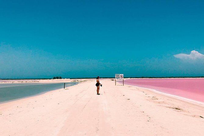 Tour Las Coloradas & Rio Lagartos only from Tulum - Key things to know before you go