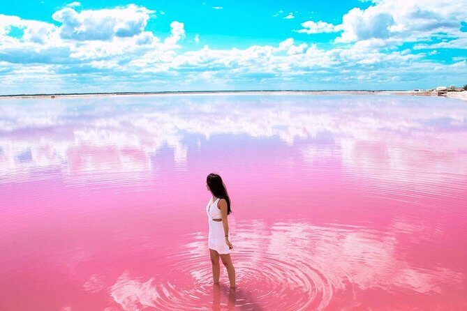 Tour Las Coloradas & Rio Lagartos only from Tulum - Early start logistics: 6:30am pickup and split vehicles