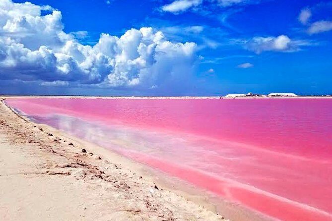 Tour Las Coloradas & Rio Lagartos only from Tulum - Las Coloradas Pink Lake: why it’s pink and when you’ll see it best