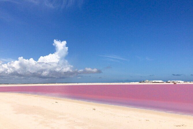 Tour Las Coloradas & Rio Lagartos only from Tulum - Clay, rinsing, and what to pack for this salt-lake stop