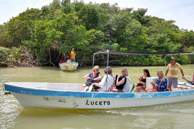 Tour Las Coloradas & Rio Lagartos only from Tulum - Food and drink value: what’s included (and what costs extra)