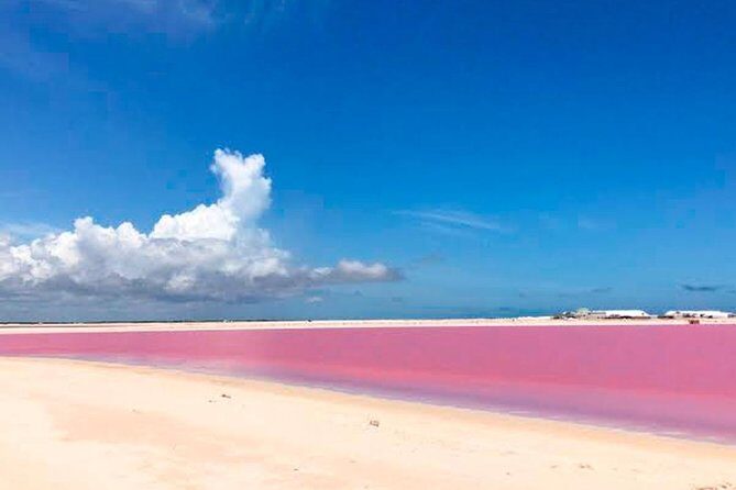 Tour Las Coloradas & Rio Lagartos only from Tulum - Rio Lagartos Biosphere Reserve: mangroves, lagoons, and bird spotting
