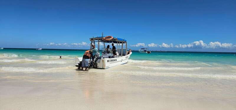 Tulum: 2-Hour Snorkeling in Two Spots of Tulum's Reef - Key takeaways before you book