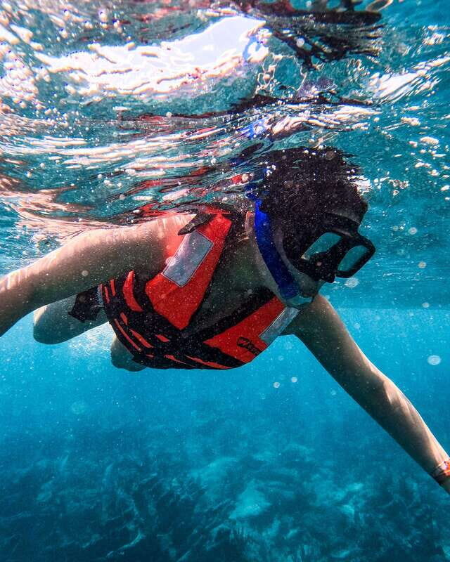 Tulum: 2-Hour Snorkeling in Two Spots of Tulum's Reef - Snorkel stop two: a different angle, still built for short attention spans
