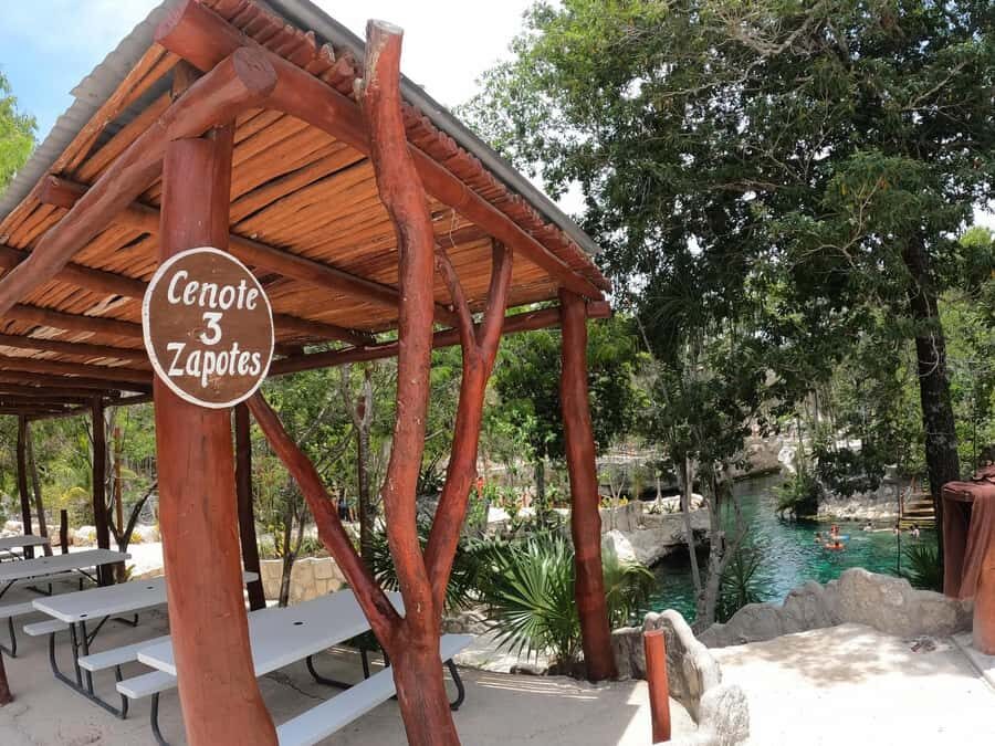 Tulum: 4 Cenotes Casa Tortuga Guided Tour with Free Time - Who this tour suits best
