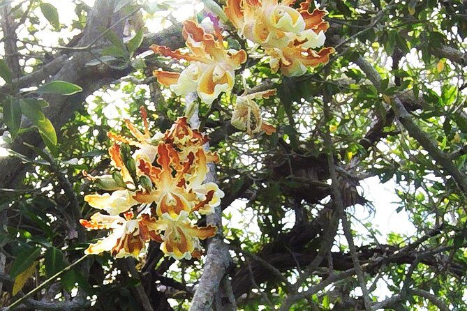 Tulum Archaeological Site & Sian Ka'an Muyil Tour from Tulum - Price and Logistics: Is $169 Good Value?