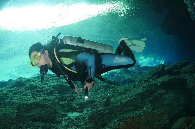 Tulum Area Experiences Guided 2 Tank Scuba Dive Casa Cenote & Barrier Reef-Lunch - Casa Cenote and the reef plan: two water worlds in one guided 6-hour day