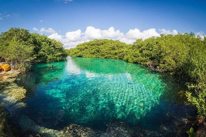 Tulum Area Experiences Guided 2 Tank Scuba Dive Casa Cenote & Barrier Reef-Lunch - Mating the meal to the mission: Mayan lunch, cochinita, and what to eat after gear