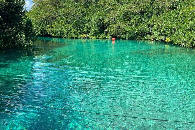 Tulum Area Experiences Guided 2 Tank Scuba Dive Casa Cenote & Barrier Reef-Lunch - Boat ride to the Tulum barrier reef: open ocean, choppy-water prep, and wildlife spotting