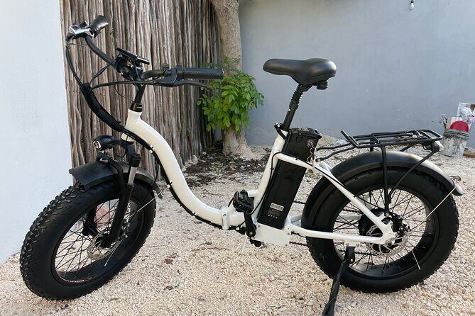 Tulum Area Experiences Guided E-Bike Tour- 3 Cenote's Snorkel/Swim & Local Lunch - Why the guide matters: Ricardo, Carlos, and Julieta-style service