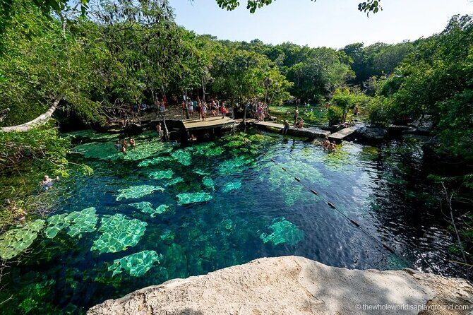 Tulum Area Experiences Guided E-Bike Tour- 3 Cenote's Snorkel/Swim & Local Lunch - Weather, safety, and who should actually book