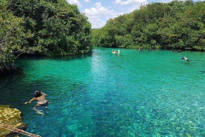 Tulum Area Experiences Guided Snorkeling Tour - Casa Cenote + Ocean Reef & Lunch - How the 6-Hour Flow Feels From Start to Finish