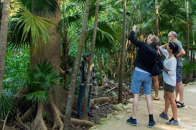 Tulum Bike Tour Tulum Maya Ruins Cenote Swimming Pueblo History Art Tacos Lunch - Cenote Crystal: jump in, then chill in the cool water