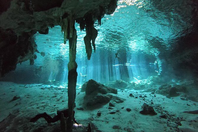 Tulum cenote diving. The ultimate experience in scuba - The one caution I’d take seriously before booking