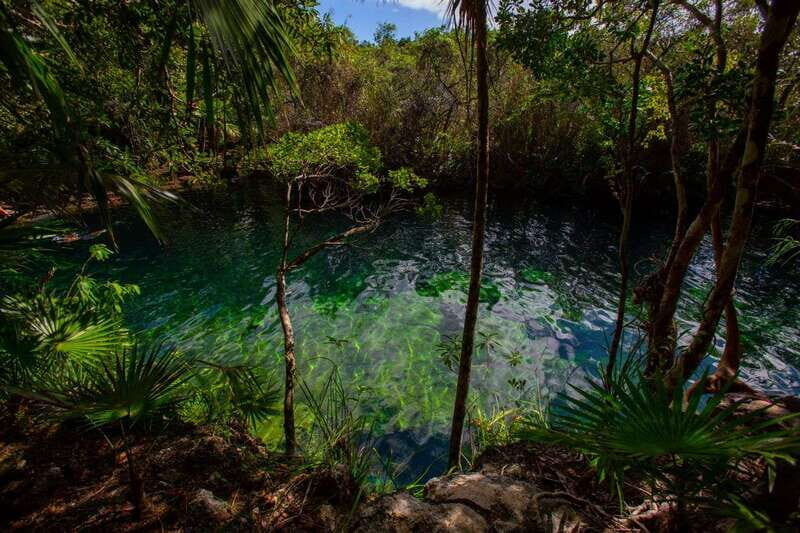 Tulum: Cenote Trail Bike Tour - Safety and Comfort: What “You Must Be Able to Ride” Really Means