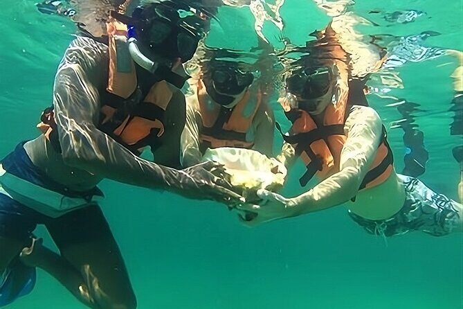 Tulum Day Trip: Pyramids + Reef Snorkel & Cenote Swim - What to Bring: Mosquito Repellent, Towel, and the Sunblock Timing