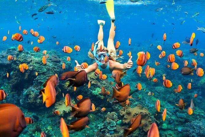 Tulum Day Trip: Pyramids + Reef Snorkel & Cenote Swim - Group Size and Comfort: How 500 People Can Feel