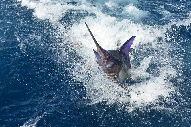 Tulum Deep Sea Fishing Tour - Beer, Water, and Turning Your Catch Into a Meal at Zamas