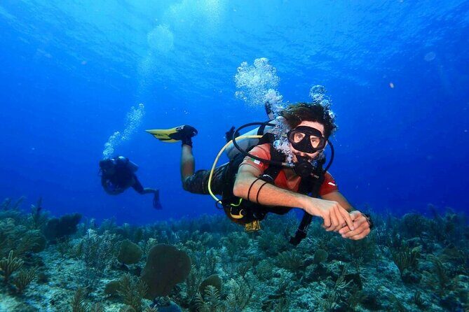 Tulum Diving (Reef) 2 Tanks - Key highlights at a glance