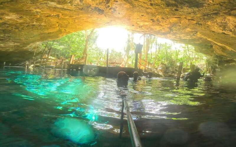 Tulum: Dos Ojos Cenote 2 Scuba Dives with Transfer Option - Key highlights worth caring about