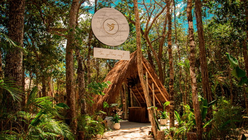 Tulum: Floating Breakfast in The Yellow Nest (Day Pass) - Key highlights to know before you go