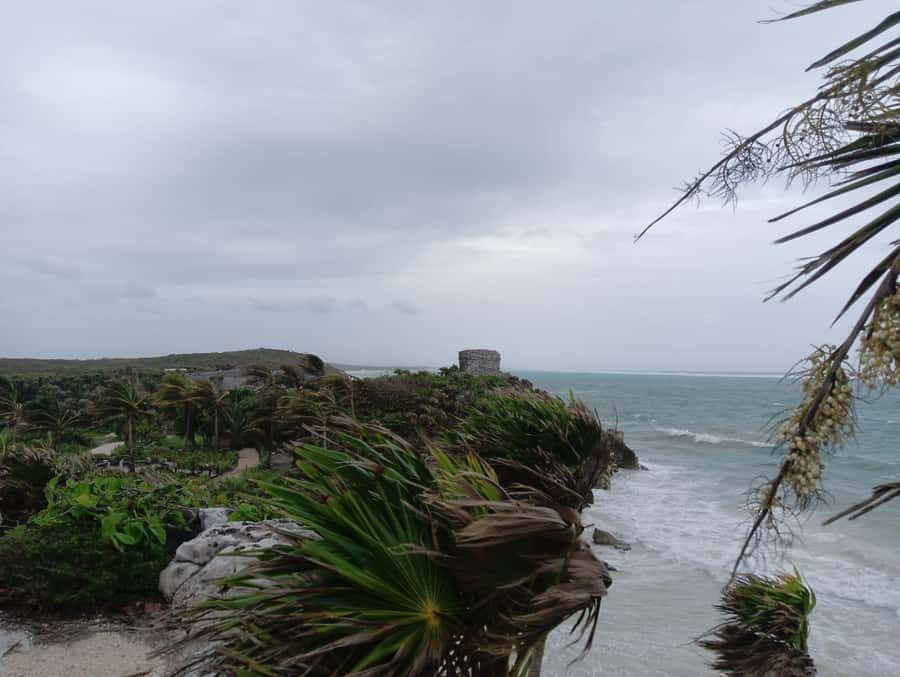 Tulum: Get a private guide to show you the Mayan Ruins - Mangrove Walk: The Ecosystem That Shaped Tulum