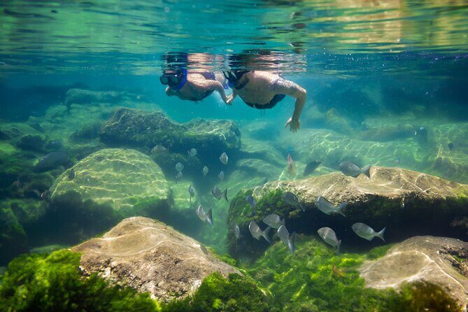 Tulum Guided Tour, Magical Cenote, Lagoon Snorkeling and Beachside Lunch - Yal-ku Lagoon Snorkeling: Freshwater Meets Sea Life