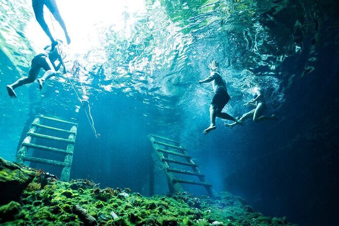 Tulum Jungle Experience with ATV, Ziplines, and Cenote - 4-Meter Rappel Descent: Controlled Adrenaline