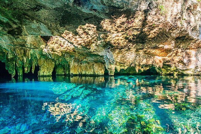 Tulum Jungle Experience with ATV, Ziplines, and Cenote - Cenote Swim: Clear Water, Underground Calm