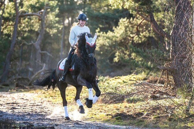 Tulum Jungle Horseback Ride + ATV + Ziplines + Cenote Combo Tour - Tulum Jungle Combo: What You’re Really Buying for $125