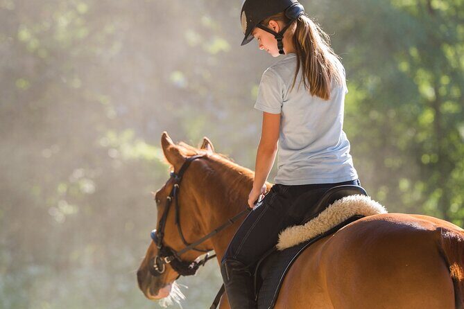 Tulum Jungle Horseback Ride + ATV + Ziplines + Cenote Combo Tour - The ATV Tour Through the Jungle: Distance, Dust, and Reality Checks