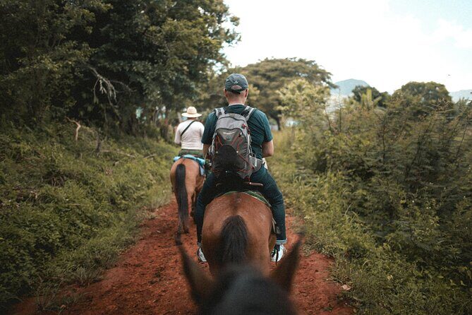 Tulum Jungle Horseback Ride + ATV + Ziplines + Cenote Combo Tour - Ziplines, the Big Line, and Wall Rappelling That’s Short but Different