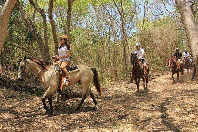Tulum Jungle Horseback Ride + ATV + Ziplines + Cenote Combo Tour - Horseback Riding: Fun for Some, Quick for Others