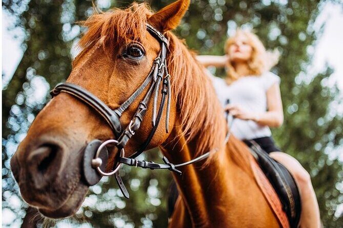 Tulum Jungle Horseback Ride + Cenote Dip & Traditional Lunch - Price and Logistics: Is $109 Good Value for Tulum?