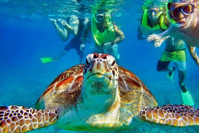 Tulum Mayan Ruins and Snorkeling with Turtles at Akumal - Tulum ruins in 2 hours: castle, observatory, and guided context