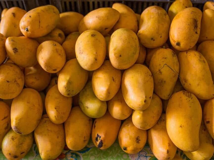 Tulum: Mexican Cooking Class in Local Home - What You’ll Eat: Homemade Dishes + a Real Table to Share