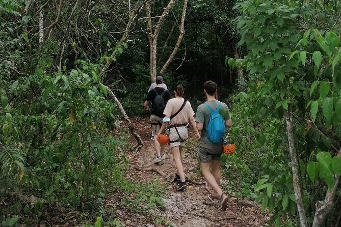 Tulum Monkey Sanctuary Tour Punta Laguna - Getting to Punta Laguna: Don Cafeto pickup and the 1:00 pm start