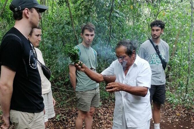 Tulum Monkey Sanctuary Tour Punta Laguna - Punta Laguna Nature Reserve: monkeys, zipline views, and Mayan jungle guiding