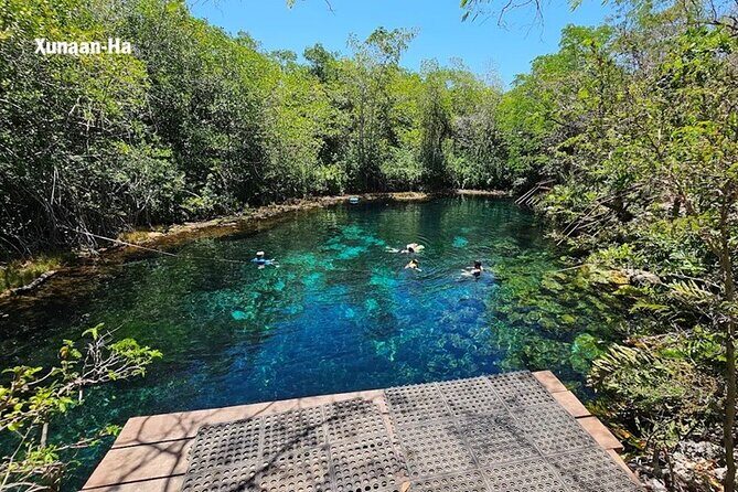 Tulum Private Driver for a Day - Up to 8 hours - How the Private Format Changes the Experience