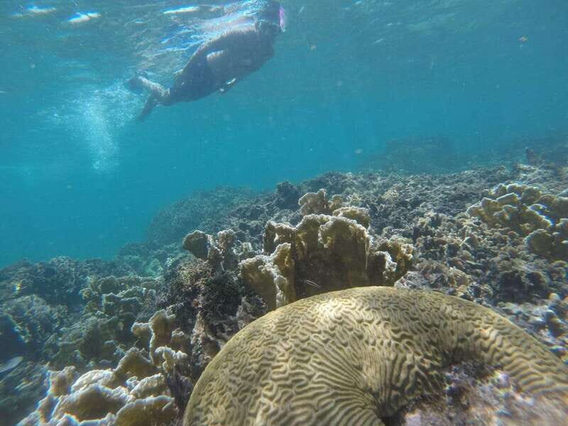 Tulum: Private Snorkel and Sailing Experience - Key reasons this private sail-snorkel feels worth it