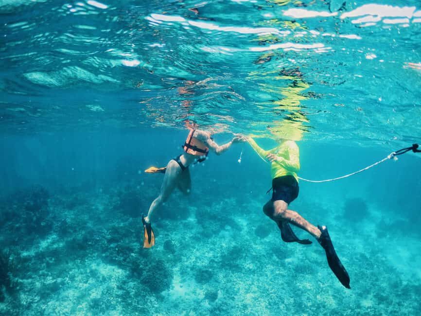 Tulum: Private Snorkel and Sailing Experience - Inside Jaguar National Park: trails, viewpoints, and extra exploring