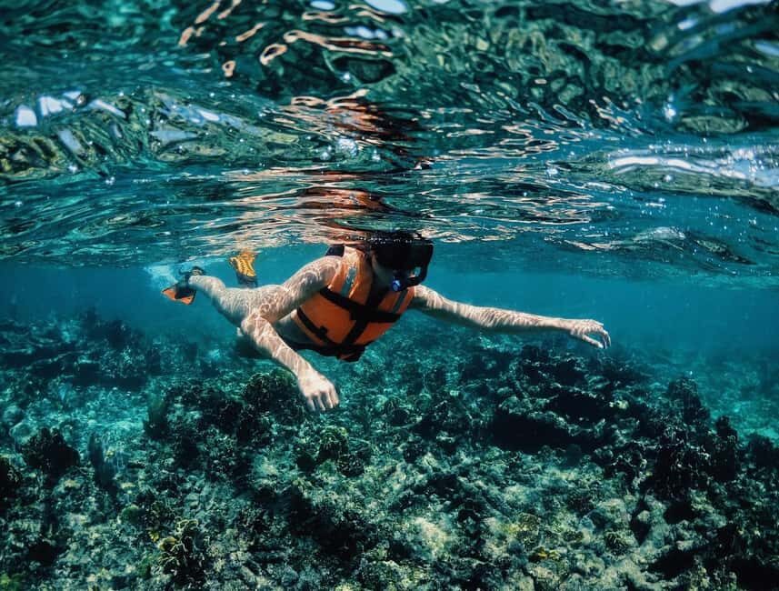 Tulum: Private Snorkel and Sailing Experience - Price and value: what $80 gets you in real terms