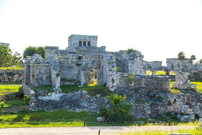 Tulum Ruins, Cenote Cave and Swimming with Turtles From Tulum - Price and what you really pay (tour + taxes)